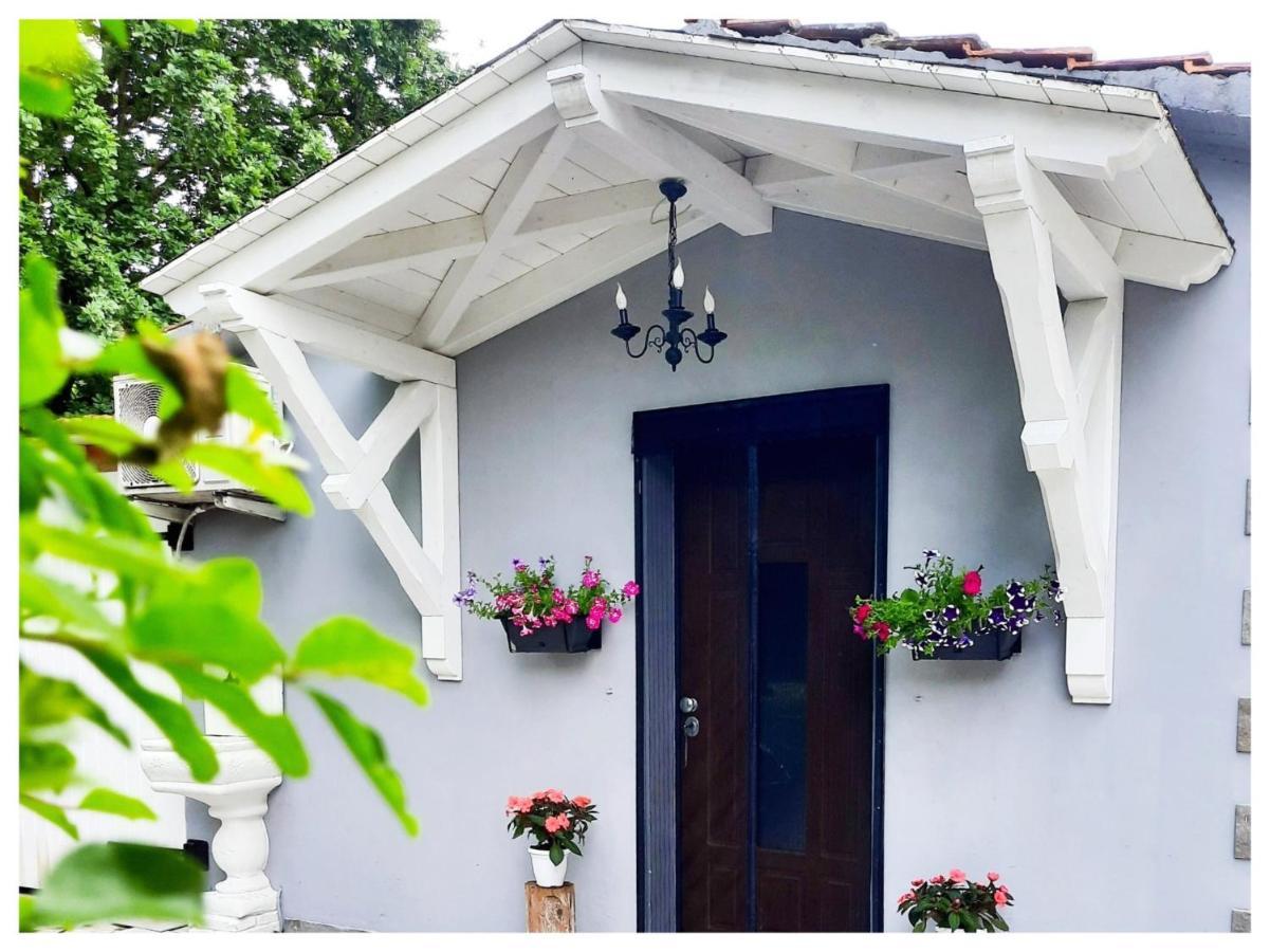 La Casina Bed & Breakfast Trecasali Ngoại thất bức ảnh