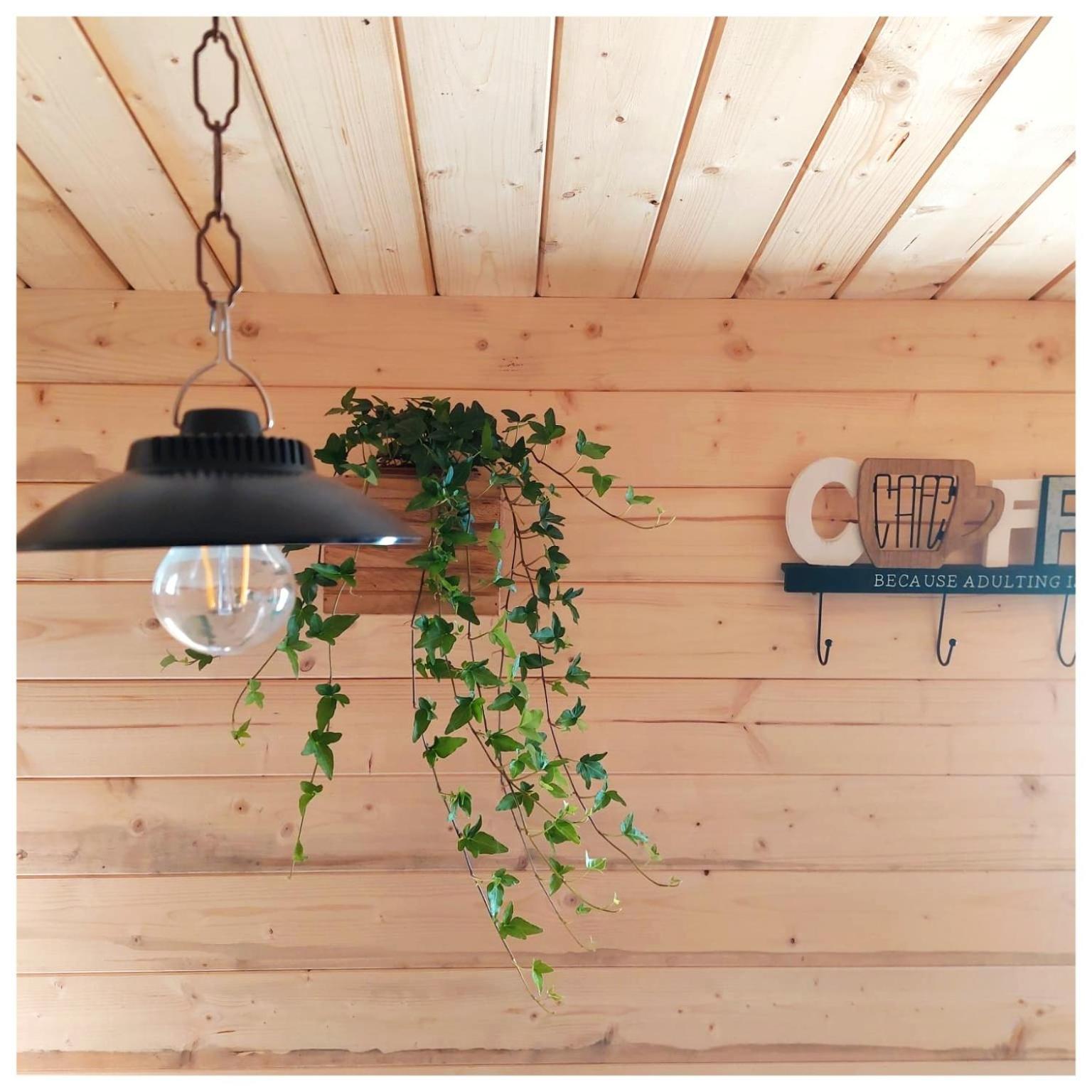 La Casina Bed & Breakfast Trecasali Ngoại thất bức ảnh