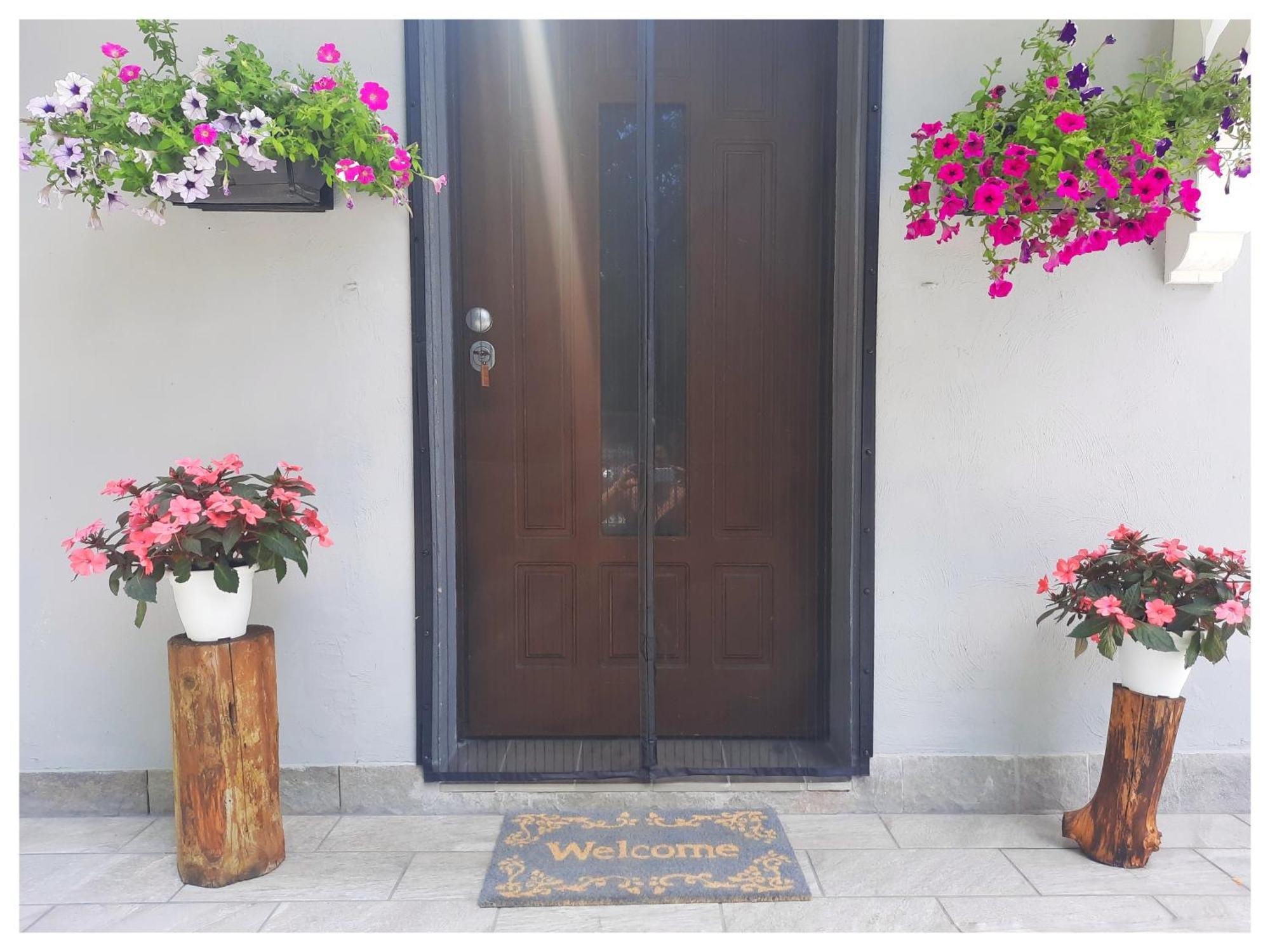 La Casina Bed & Breakfast Trecasali Ngoại thất bức ảnh